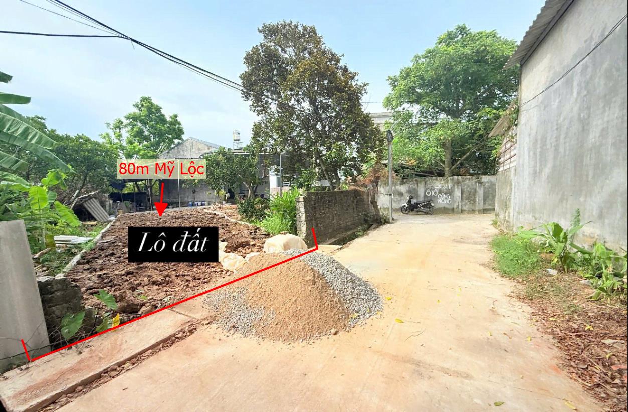 Hình ảnh Bán Lô Đất 80m Tại Mỹ Lộc Phúc Thọ Bám Đường Bê Tông Ô Tô Vào Tận Đất Dân Cư Đông Đúc Thân Thiện Gần Chợ Trường Học Ủy Ban Giá Đầu Tư