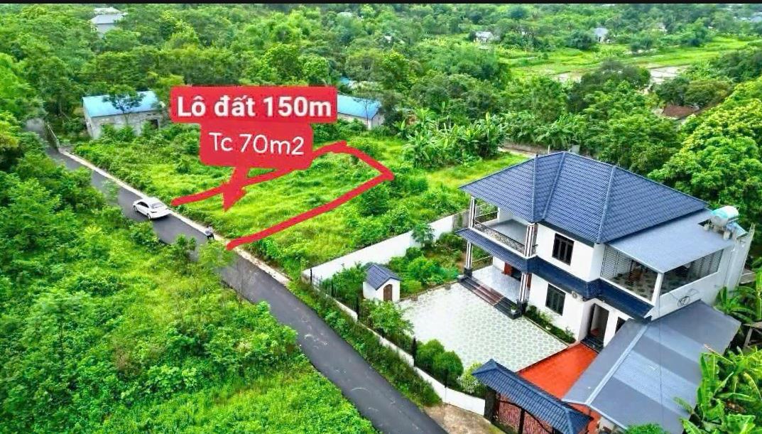 Hình ảnh Bán Lô Đất 153.9m Tại Tam Quan Tam Đảo Bám Đường Bê Tông Ô Tô Vào Tận Đất Dân Cư Đông Đúc Thân Thiện Gần Chợ Trường  Học Ủy Ban Giá Đầu Tư