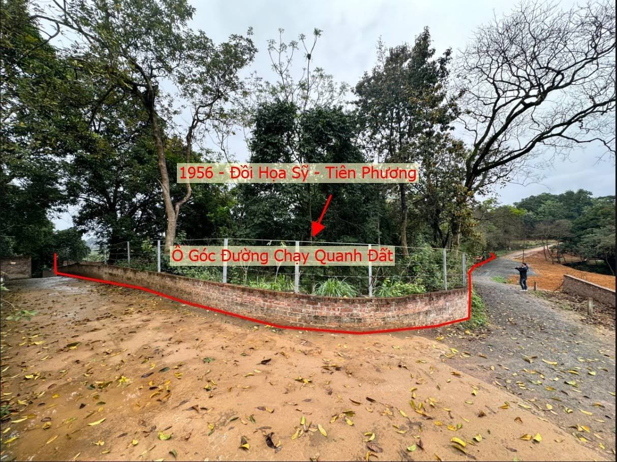 Hình ảnh Bán Lô Góc 3 Mặt Thoáng 1956m Tại Tiên Phương Ô Tô Vào Tận Đất Ngay Gần TYL419 , QL6A