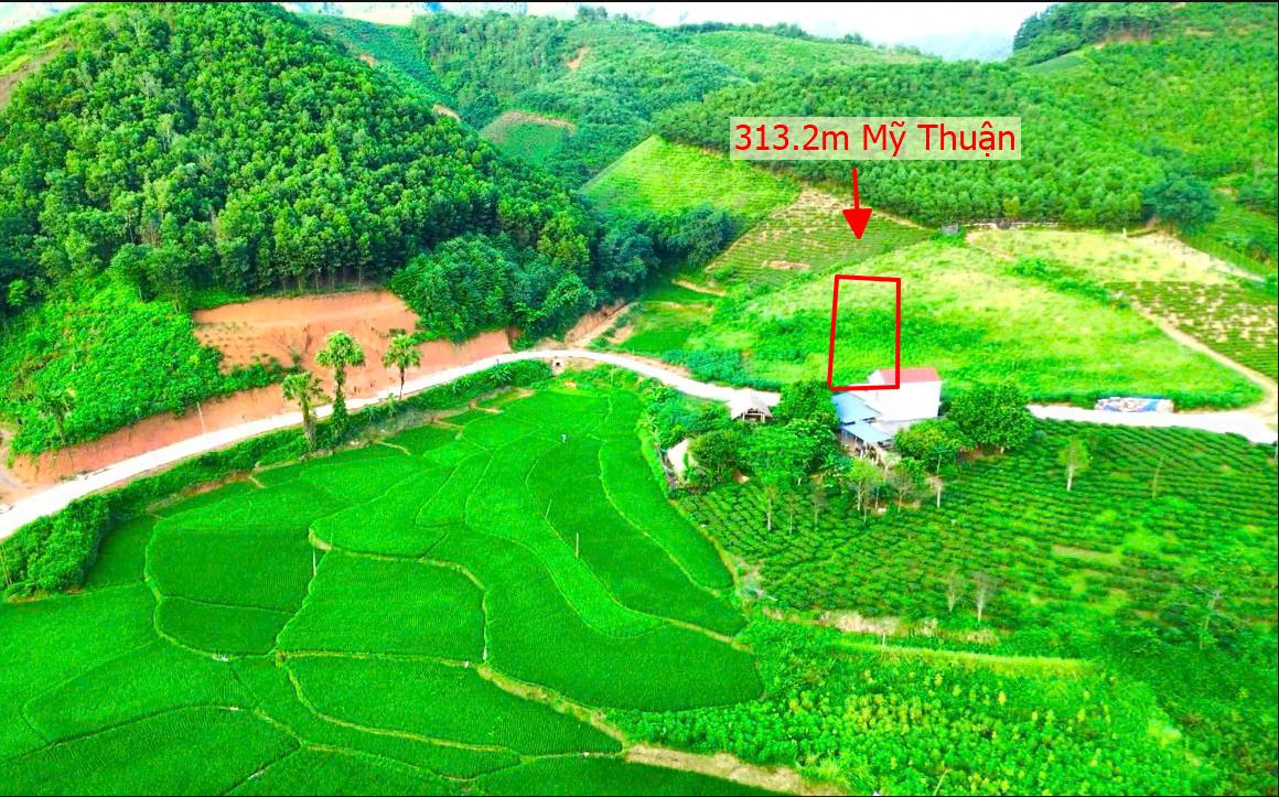 Hình ảnh Bán Lô Đất 313.2m Tại Mỹ Thuận Tân Sơn Bám Đường Liên Huyện Ô Tô Tránh Nhau View Thoáng Mát Khu Dân Cư Thân Thiện An Ninh Tốt Giá Đầu Tư