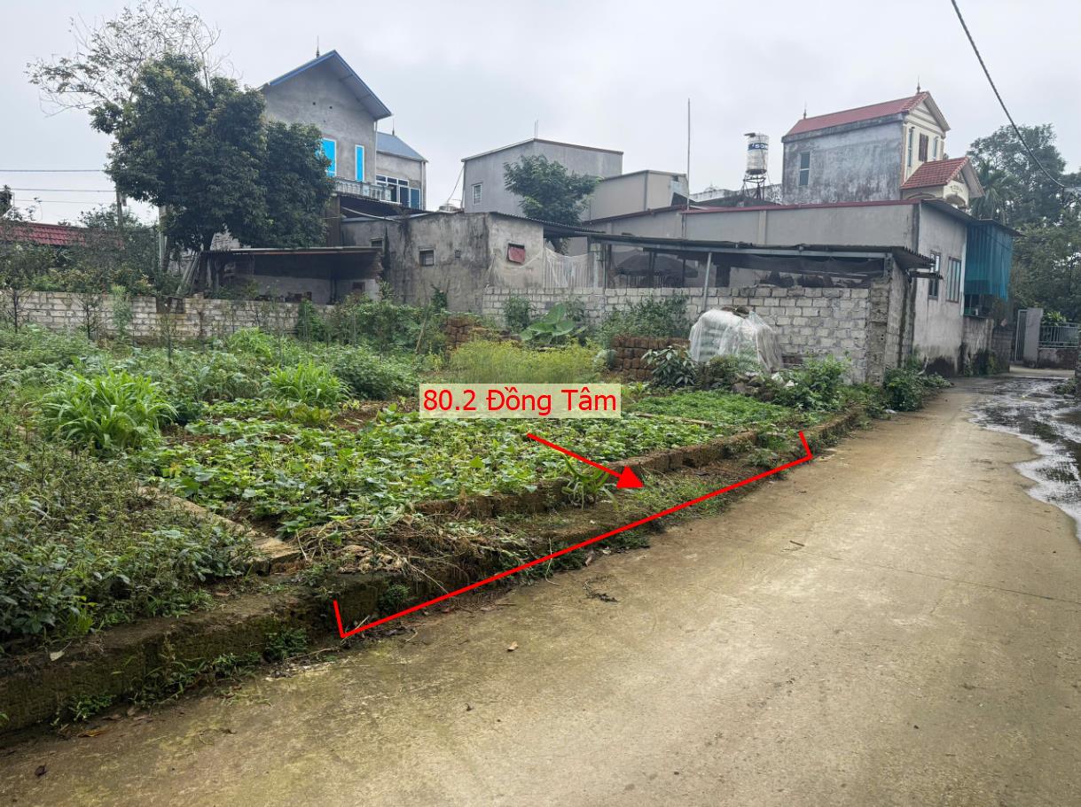 Hình ảnh Bán Thửa Đất 80.2m Tại Đồng Tâm Đường Thông Ô Tô Ngay Gần Mặt Đường Kinh Doanh TL429