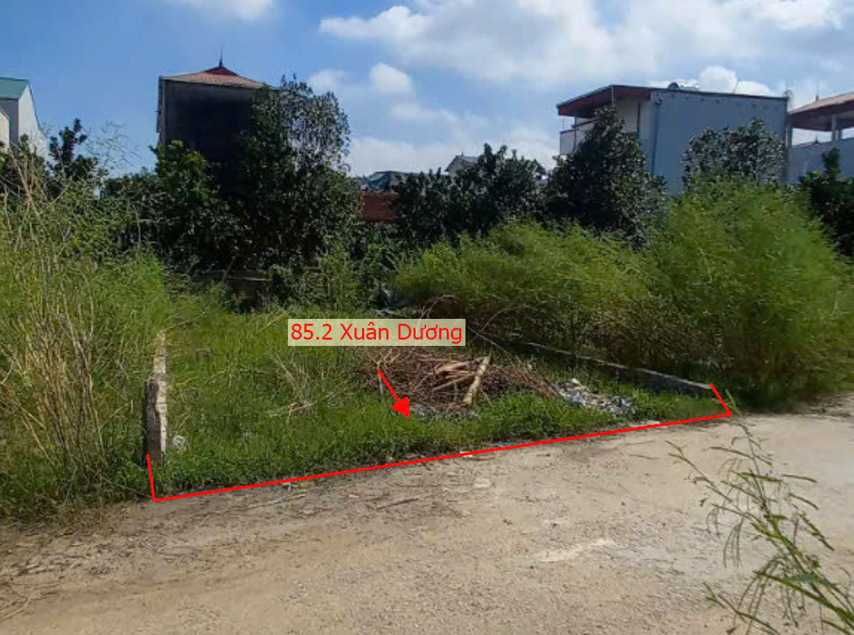 Hình ảnh Bán Đất 2 Mặt Tiền Sát Trục Kinh Doanh Ngay Trung Tâm Xã Xuân Dương | Đất Đấu Giá Huyện Thanh Oai