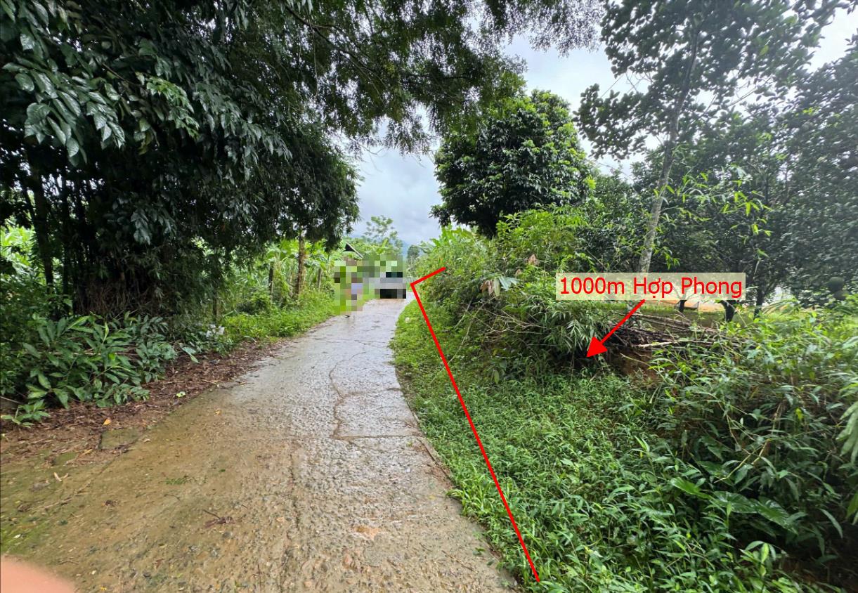 Hình ảnh Bán Lô Đất 1000m Tại Hợp Phong Cao Phong Bám Đường Bê Tông Ô Tô Vào Tận Đất Dân Cư Đông Đúc Thân Thiện Gần Chợ Trường Học Ủy Ban Giá Đầu Tư
