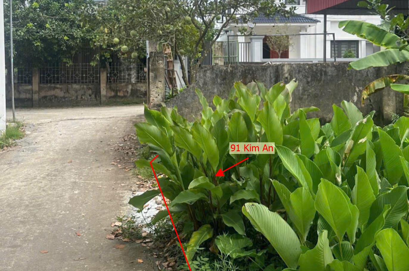 Hình ảnh Bán Đất Full Thổ Cư 91m Tại Kim An Ô Tô Đỗ Tận Đất Sát Trục Chính Kinh Doanh Liên Xã Giá Chỉ Hơn 2 Tỷ