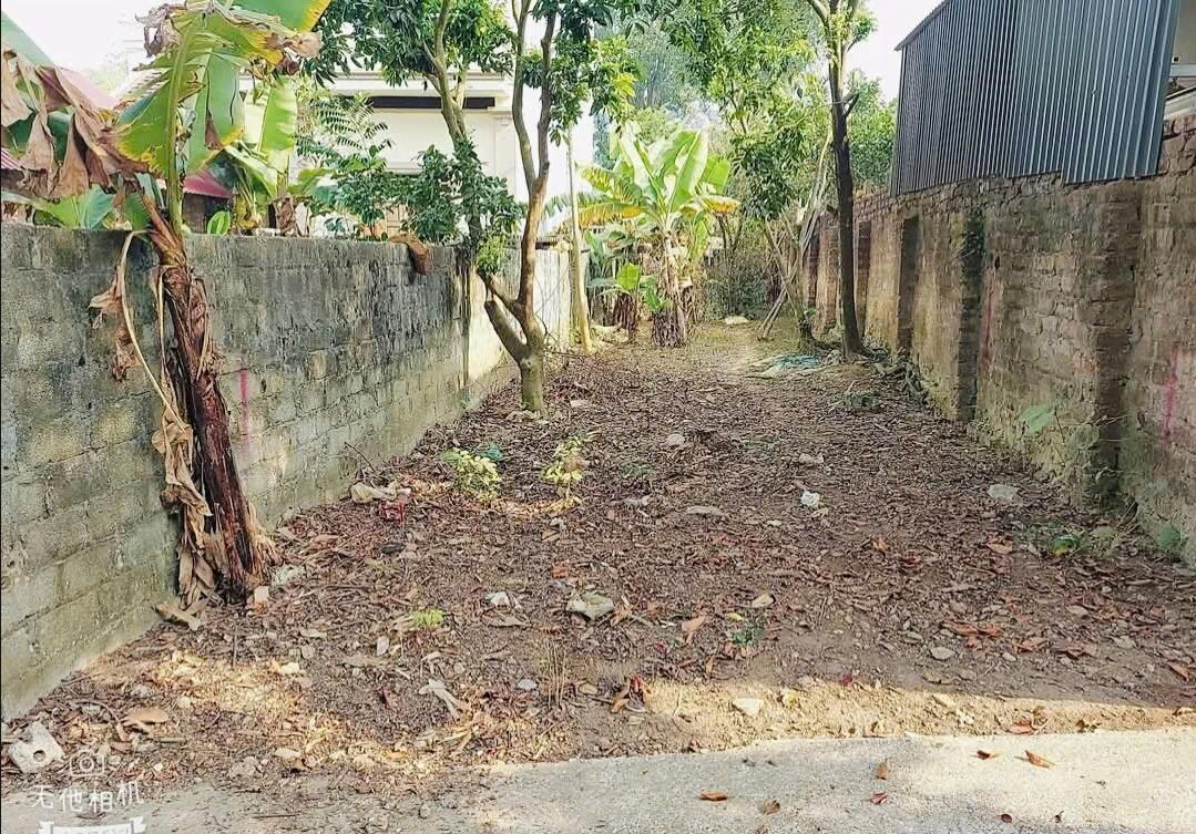 Hình ảnh Bán Lô Đất 286m Tại Cổ Đông Sơn Tây Bám Đường Bê Tông Ô Tô Vào Tận Đất  Xung Quanh Đầy Đủ Tiện Ích Giá Đầu Tư