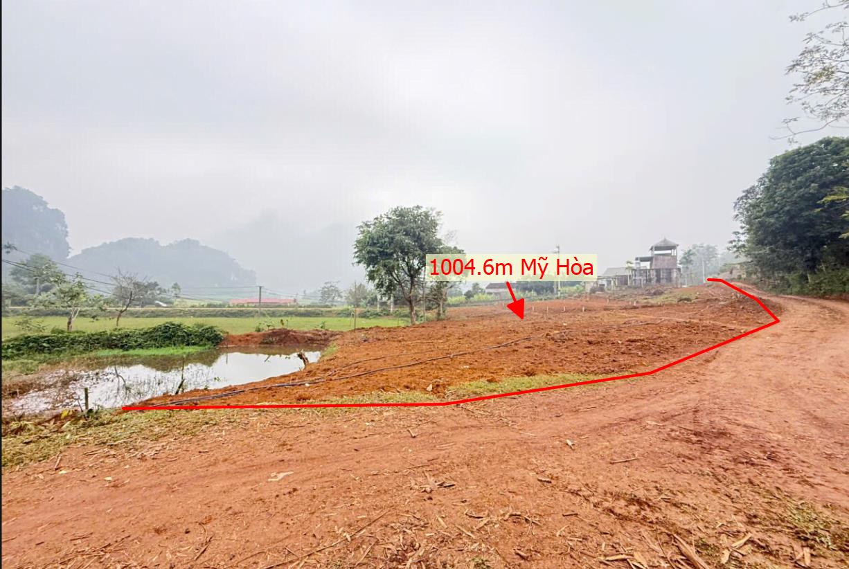 Hình ảnh Bán Lô Đất 1004.6m Tại Mỹ Hòa Tân Lạc Bám Đường Bê Tông Ô Tô Vào Tận Đất Dân Cư Đông Đúc Thân Thiện Phù Hợp Làm Nghỉ Dưỡng  View Cánh Đồng Giá Đầu Tư