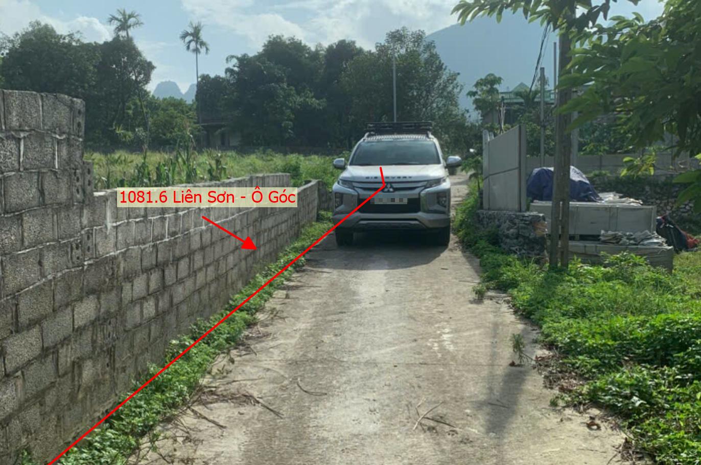 Hình ảnh Bán Lô Góc 2 Mặt Tiền 1081.6m Tại Liên Sơn Ô Tô Vào Tận Đất Ngay Gần Đường Hồ Chí Minh (QL21A)