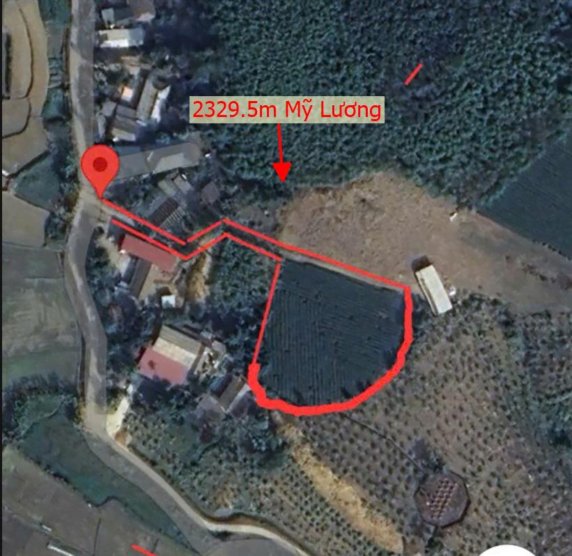 Hình ảnh Bán Lô Đất 2329.5m Tại Mỹ Lương Yên Lập Bám Đường bê Tông Ô Tô Vào Tận Đất Sẵn Vườn Chè Cây Ăn Quả Sổ Đó Sẵn Sàng Công Chứng Giá Đầu Tư
