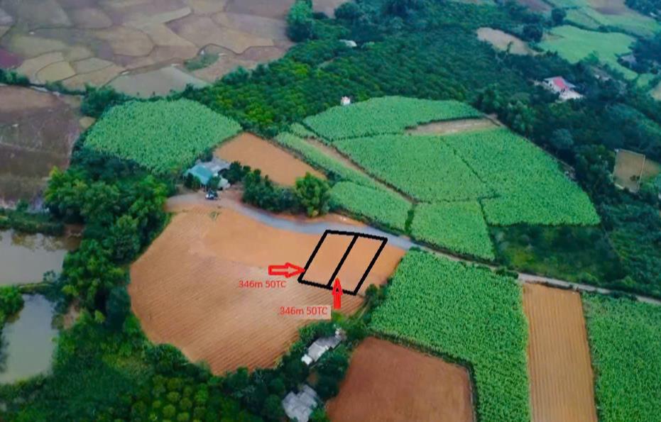 Hình ảnh Bán Lô Đất 346.7m Tại Mỹ Hòa Tân Lạc Bám Đường Bê Tông Ô Tô Vào Tận Đất View Thoáng Mát Giá Đầu Tư