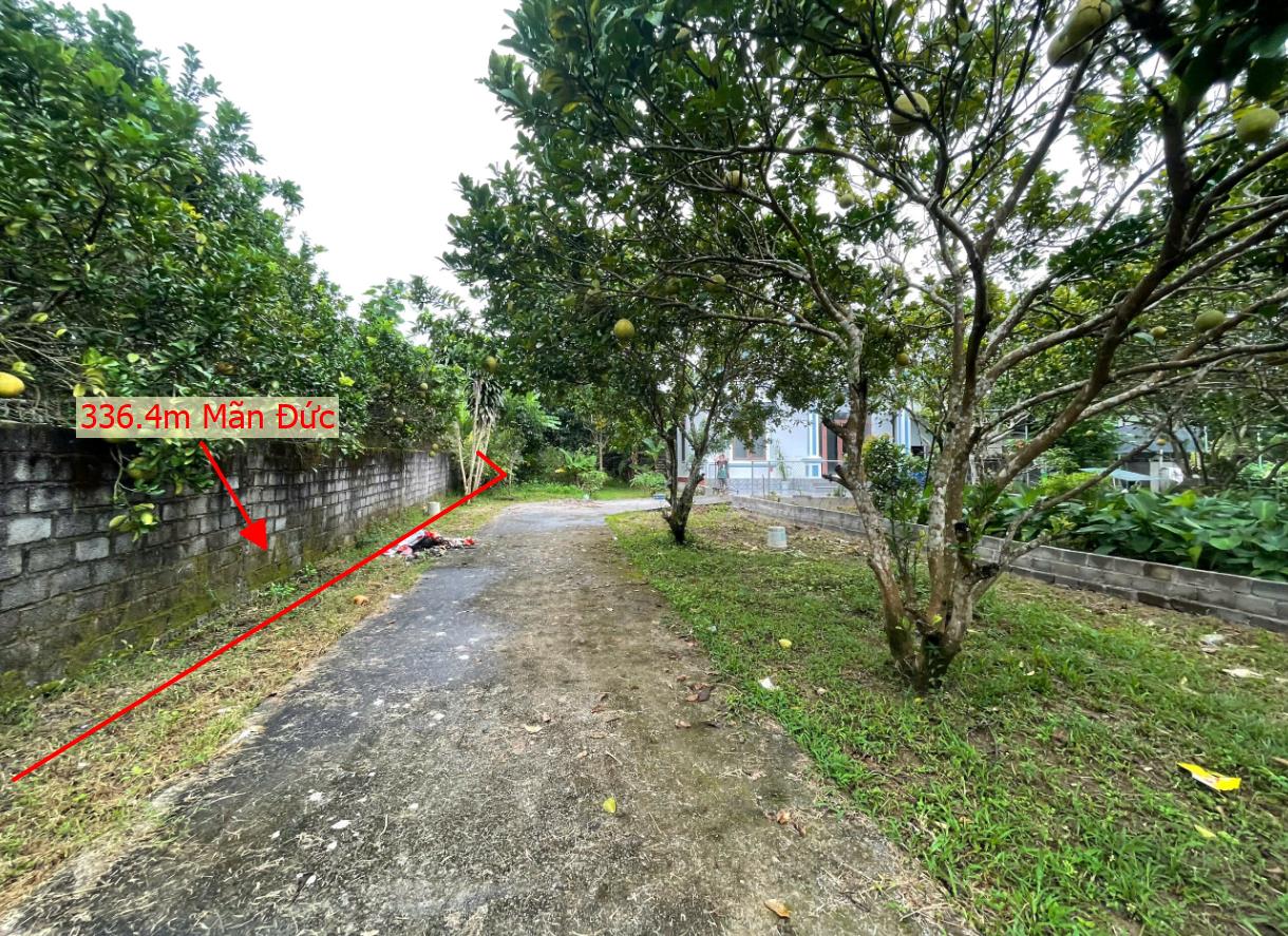 Hình ảnh Bán Lô Đất 336.4m Tại Tân Lạc Bám Đường Bê Tông Ô Tô Vào Tận Đất Sẵn Vườn Cây Ăn Quả  Tường Bao Rõ Ràng 