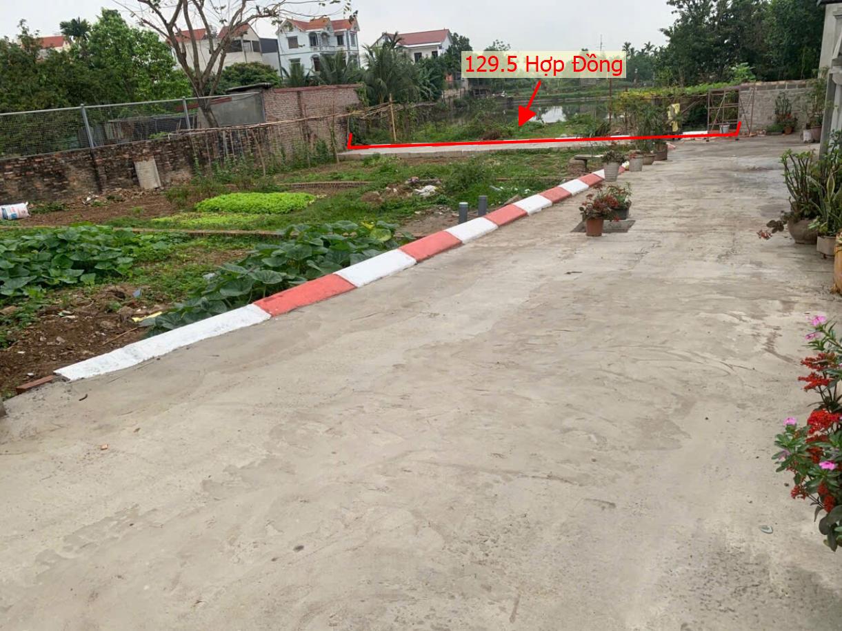 Hình ảnh Bất Động Sản Quảng Bị Bán Đất Phân Lô Khu Vực Hợp Đồng Ô Tô Vào Tận Đất Gần Mặt Đường Kinh Doanh TL419