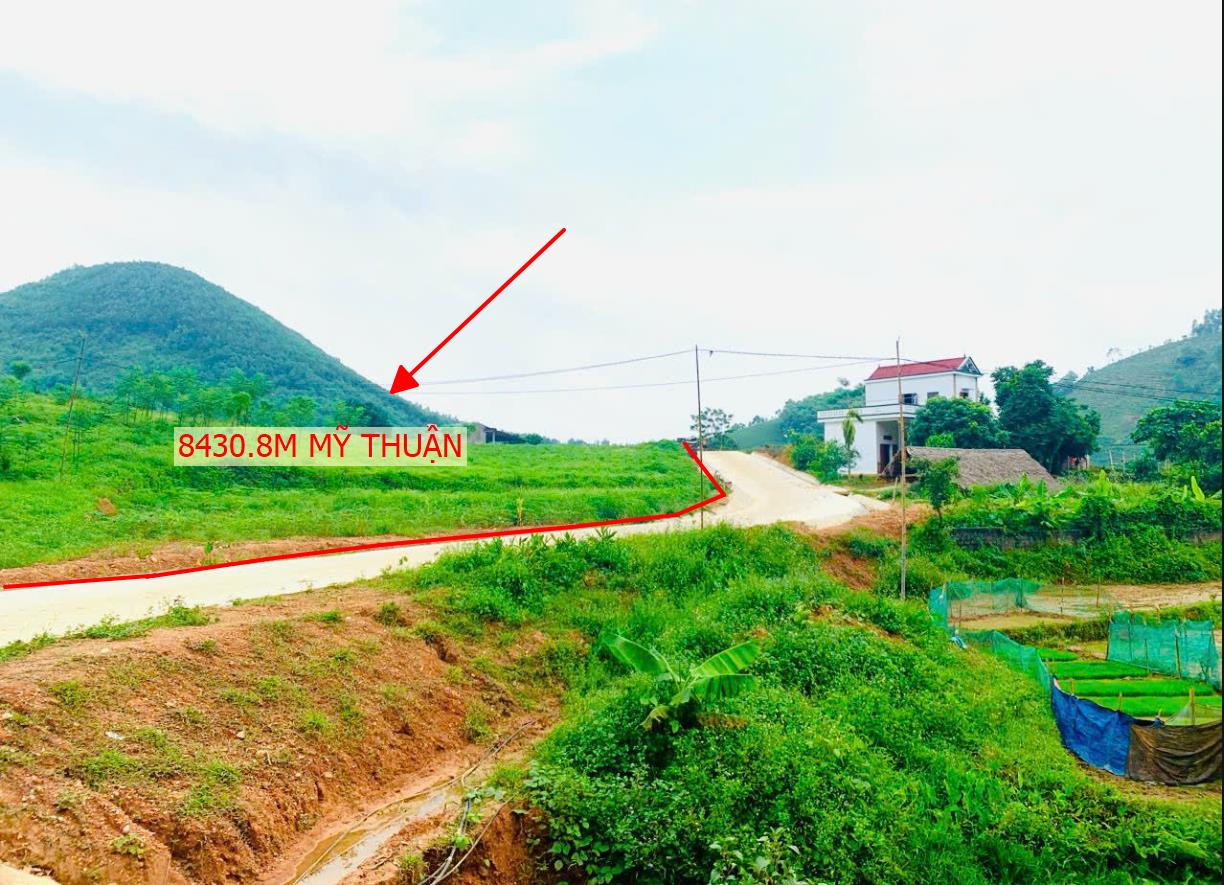 Hình ảnh Bán Lô Đất  Hơn 8000m Tại Mỹ Thuận Tân Sơn Giá Chỉ Vài Trăm
