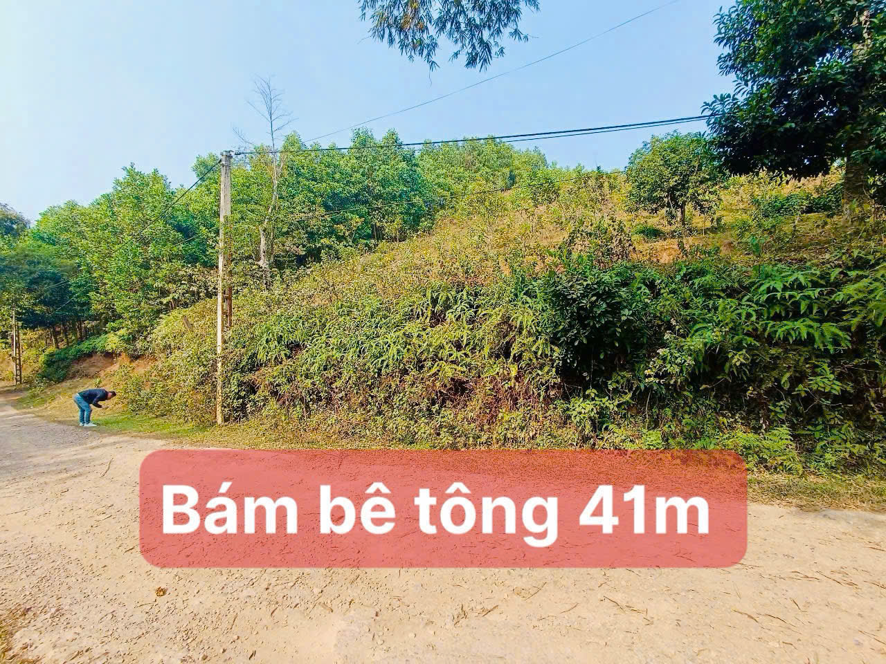 Hình ảnh Bán Lô Đất Nghỉ Dưỡng Hơn 1000m Tại Lạc Sơn Hòa Bình Bám Đường Bê Tông View Thoáng Mát