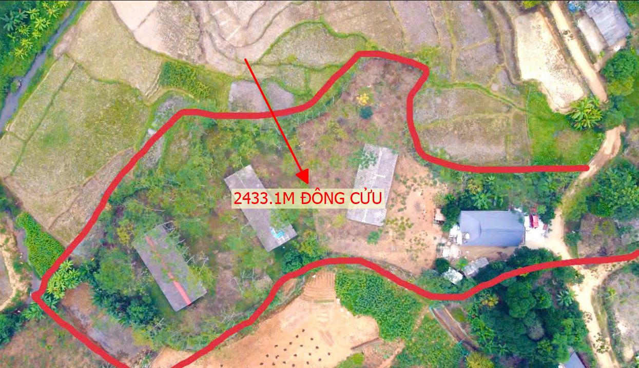 Hình ảnh Bán Lô Đất 2433m Tại Đông Cửu Thanh Sơn Đã Sẵn Nhà View Thoáng Mát