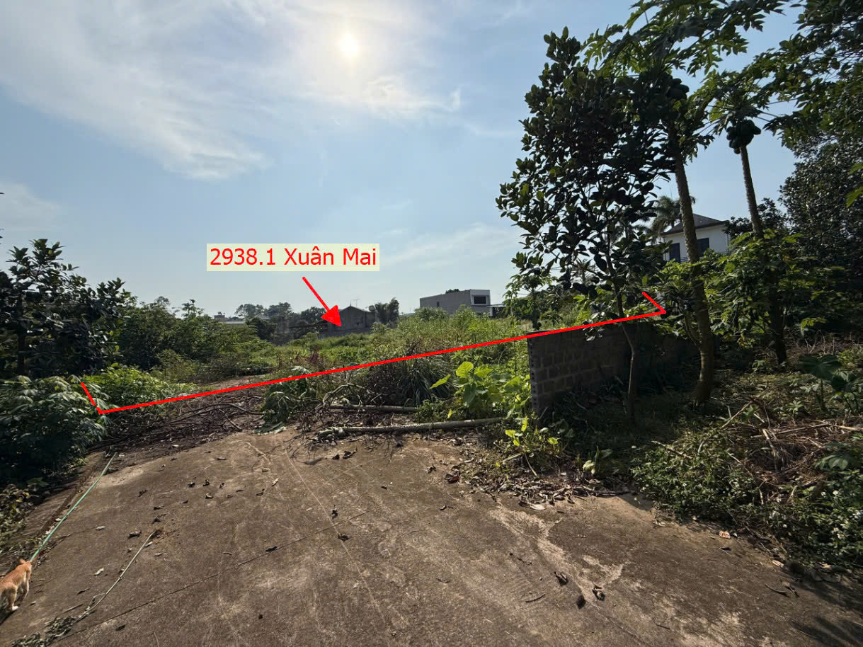 Hình ảnh Bán Đất Thị Trấn Xuân Mai Ô Tô Vào Tận Đất Sát Trục Chính Kinh Doanh Ngay Gần QL6A 