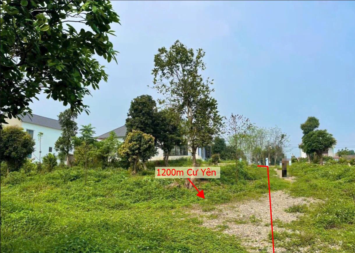 Hình ảnh Bán Lô Đất 1200m Tại Cư Yên Lương Sơn Bám Đường Bê Tông Ô Tô Vào Tận Đất Dân Cư Đông Đúc Gần Hồ Đồng Chanh Thoáng Mát Phù Hợp Làm Nghỉ Dưỡng Giá Đầu Tư