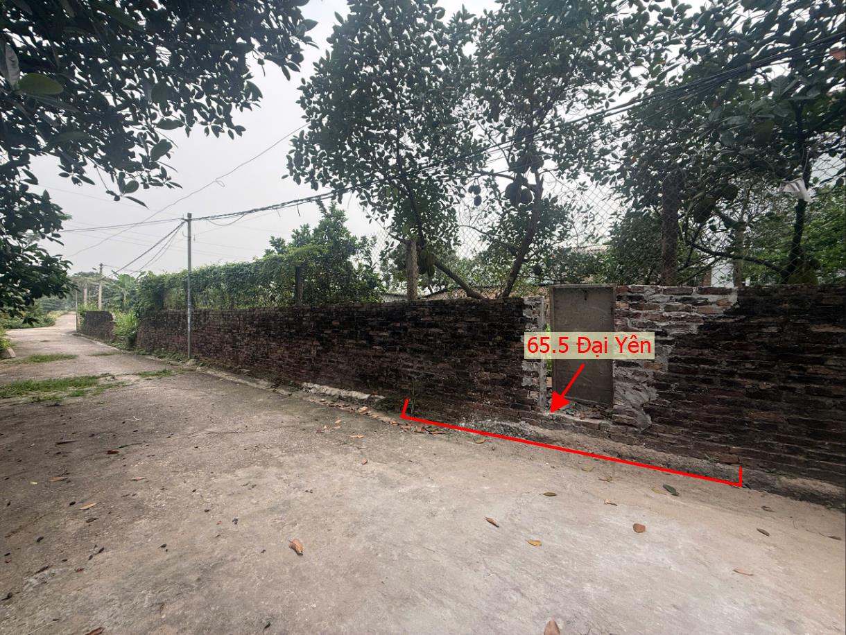 Hình ảnh Bất Động Sản Chương Mỹ Bán Đất Khu Vực Đại Yên Full Thổ Cư Gần Mặt Đường Kinh Doanh TL419 Giá Chỉ Hơn 2 Tỷ