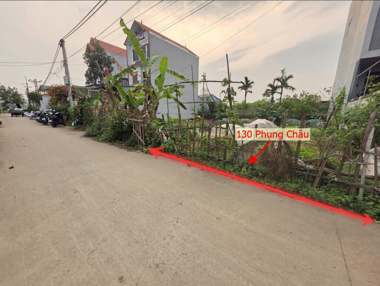 Hình ảnh Bất Động Sản Chương Bán Đất Khu Vực Phụng Châu Ô Tô Đỗ Tận Đất Gần Trục Chính Kinh Liên Xã Giá Chỉ Vài Tỷ