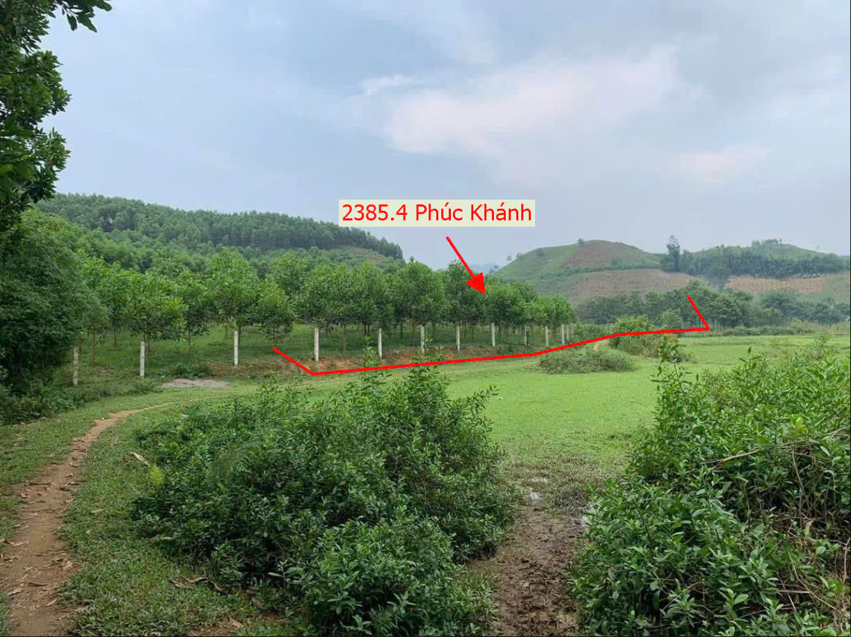 Hình ảnh Bán Đất Phúc Khánh Gần QL70B Ngay Trung Tâm Xã Phúc Khánh Giá Chỉ Vài Trăm Triệu 