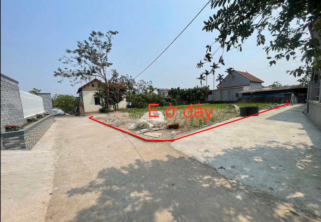 Hình ảnh Bán Lô Đất 484.7m Tại Tân Dân Khoái Châu Bám Đường Bê Tông Ô Tô Vào Tận Đất Dân Cư Đông Đúc Thân Thiện Gần CHợ Trường Học Giá Đầu Tư