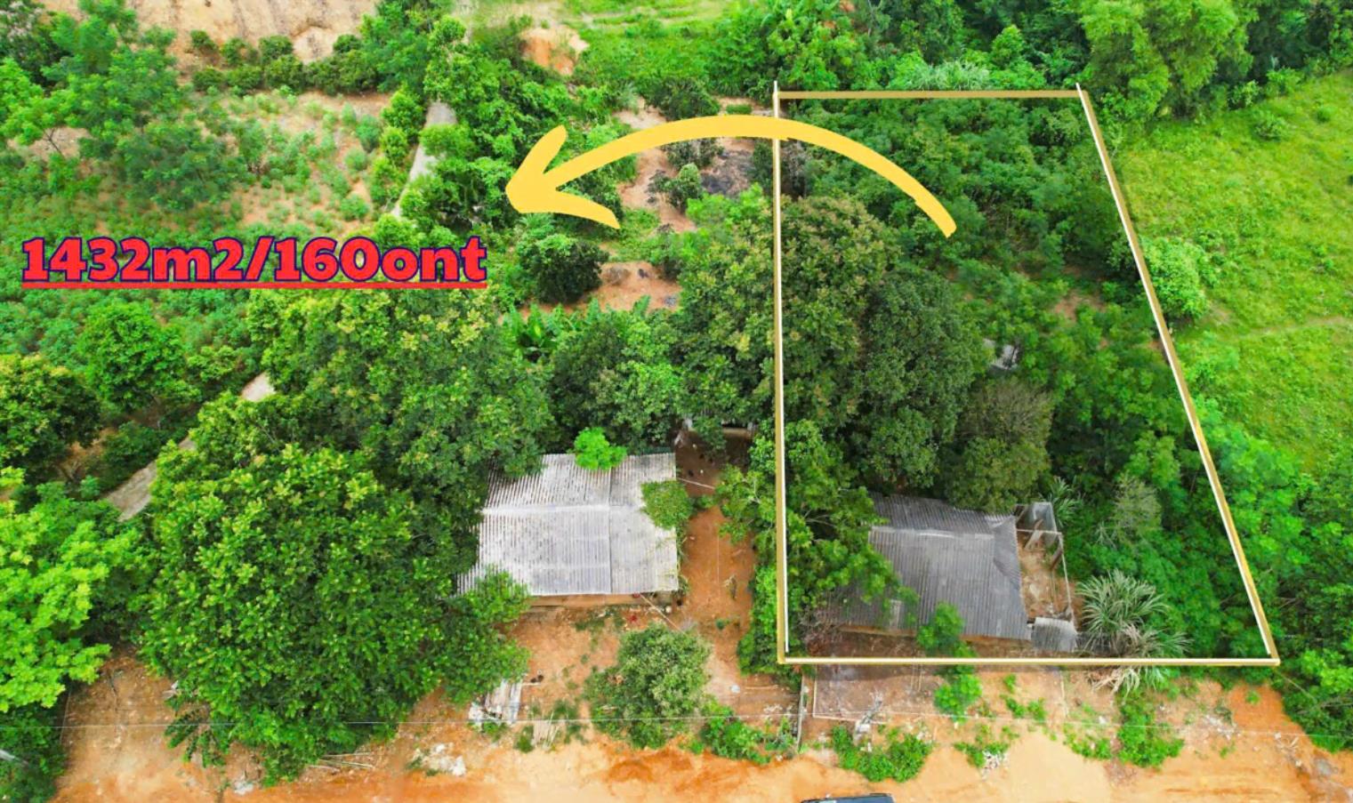 Hình ảnh Bán Lô Đất 1432.1m Tại Hiền Lương Đà Bắc Bám Đường Bê Tông Ô Tô Vào Tận Đất Dân Cư Đông Đúc Thân Thiện Giá Đầu Tư