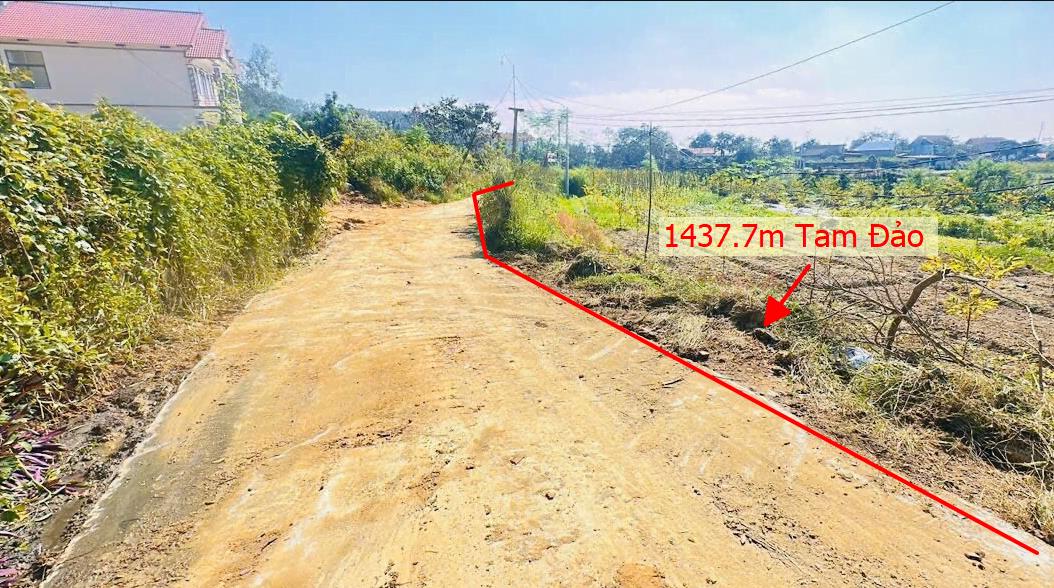 Hình ảnh Bán Lô Đất 1437.7m Tại Tam Đảo Bám Đường Bê Tông Ô Tô Vào Tận Đất Dân Cư ĐÔng Đúc Phù Hợp Làm Nghỉ Dưỡng View Thoáng Mát Giá Đầu Tư