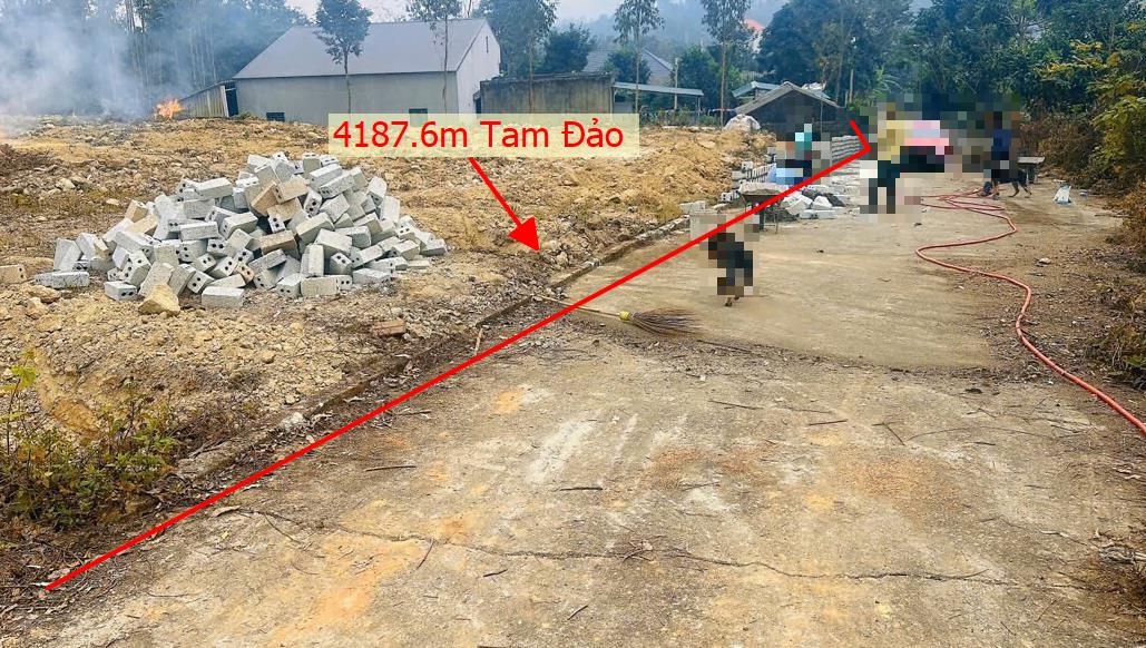 Hình ảnh Bán Lô Đất 4187.6m Tại Tam Đảo Bám Đường Bê Tông Ô Tô Vào Tận Đất Dân Cư Đông Đúc Thân Thiện  Phù Hợp Làm Nghỉ Dưỡng