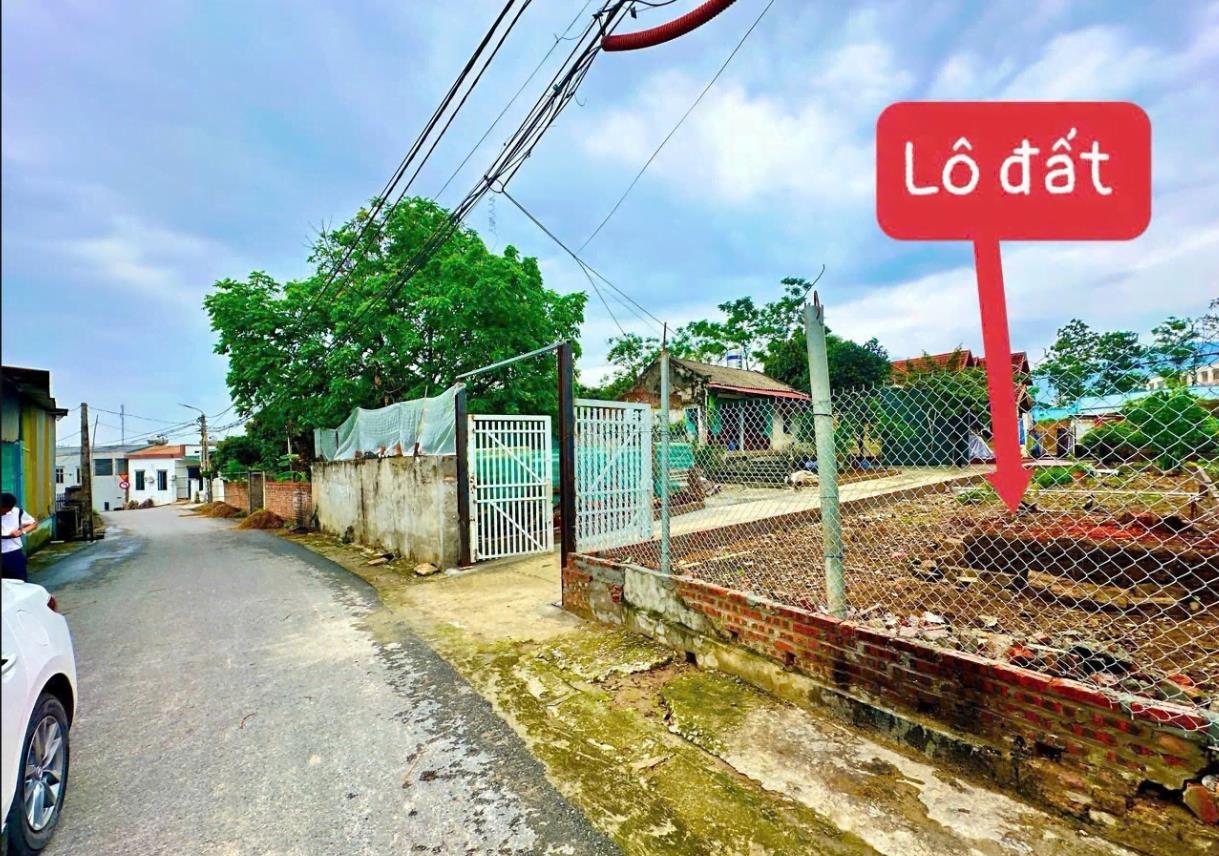 Hình ảnh Bán Lô Đất 124m Tại Hợp Châu Tam Đảo Bám Đường Bê Tông Ô Tô Vào Tận Đất Dân Cư Đông Đúc Thân Thiện Đầy Đủ Tiện Ích Giá Đầu Tư