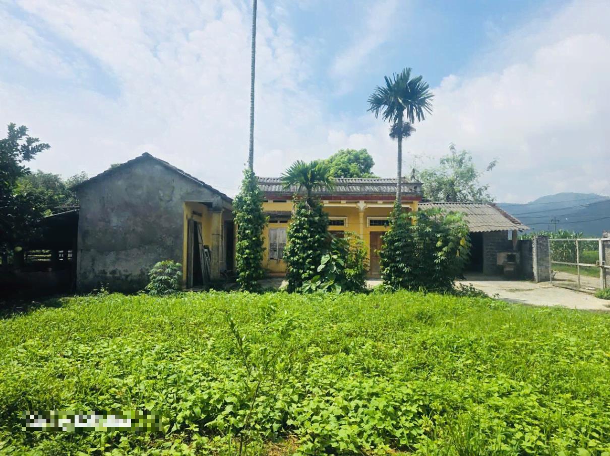 Hình ảnh Bán Lô Đất 1249.9m Tại Đồng Thịnh Yên Lập Bám Đường Bê Tông Ô Tô Vào Tận Đất Sẵn Nhà Vườn Giá Đầu Tư