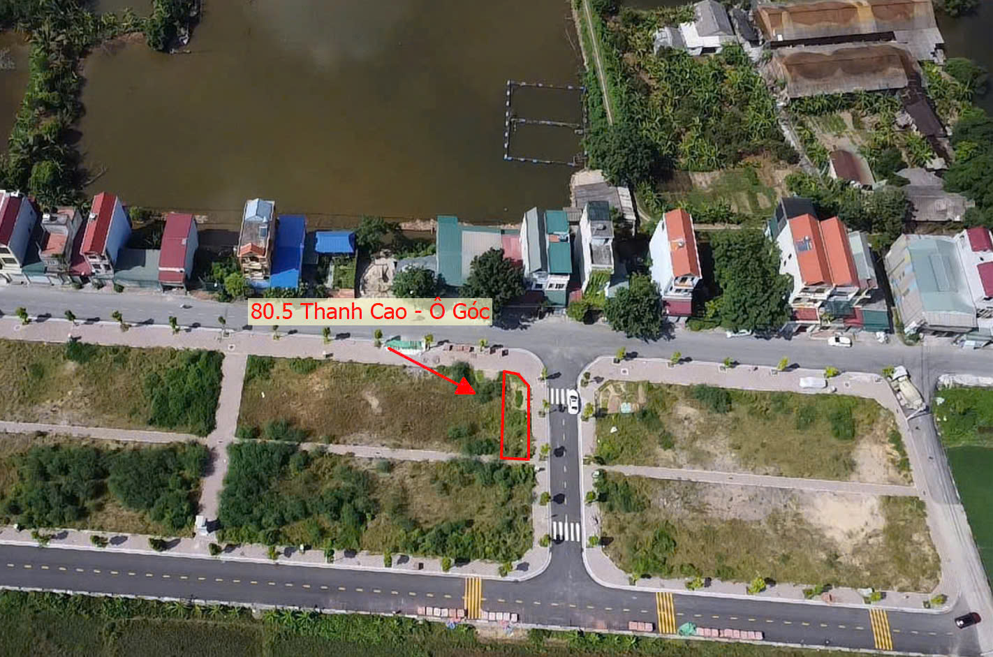 Hình ảnh Bán Đất Đấu Giá Khu Ngõ Ba Xã Thanh Cao Ngay Trung Tâm Hành Chính Xã - Đất Đấu Giá Thanh Oai 