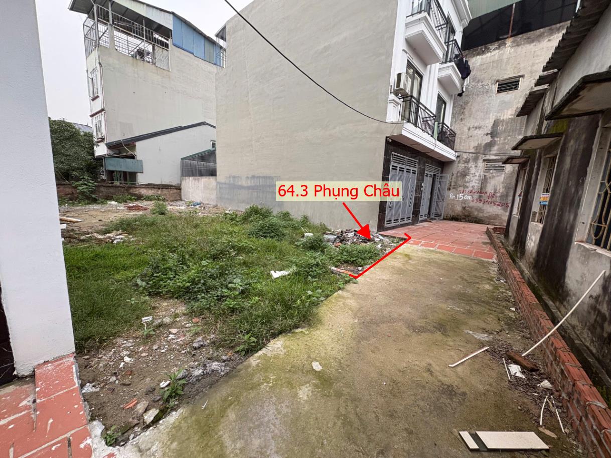 Hình ảnh Đất Phân Lô Phụng Châu Ngay Trung Tâm Xã Phụng Châu Sát Trục Kinh Doanh Liên Huyện