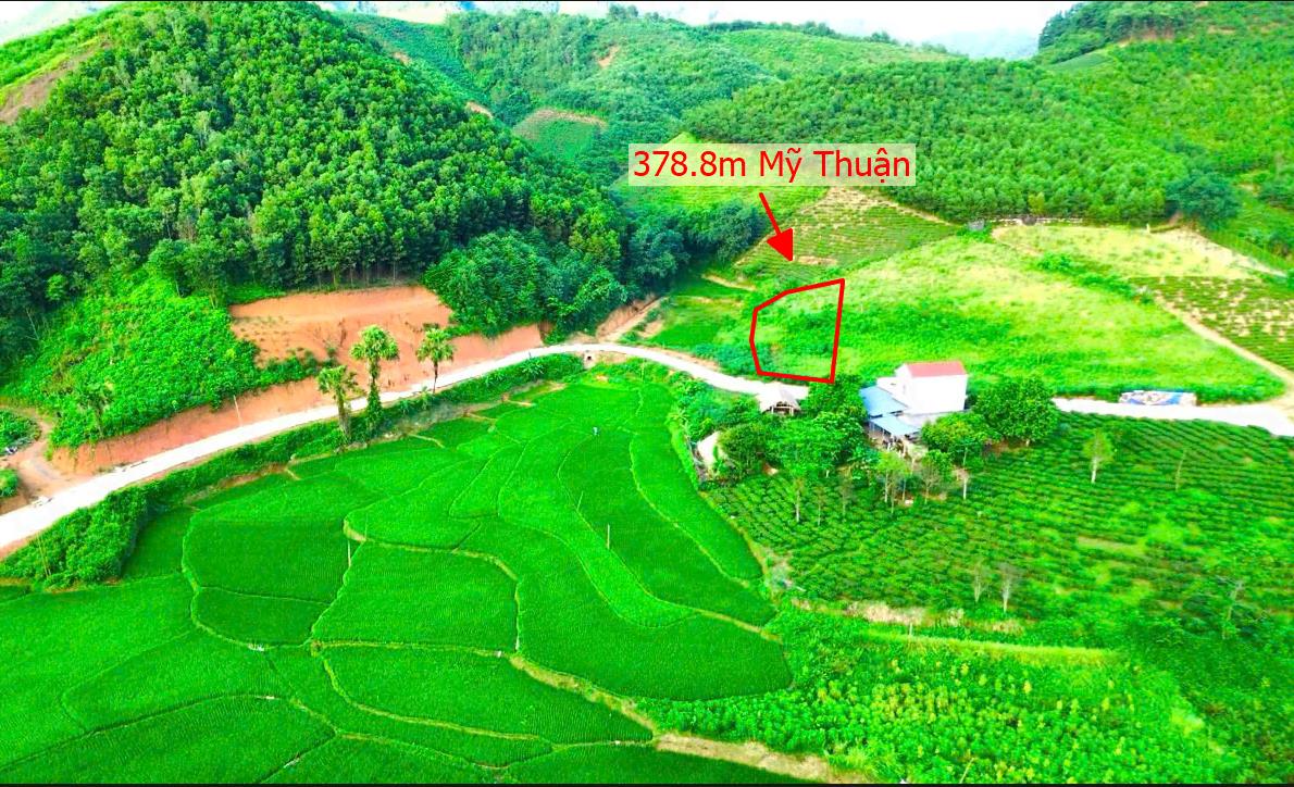 Hình ảnh Bán Lô Đất 378.8m Tại Mỹ Thuận Tân Sơn Bám Đường  Liên Huyện Ô Tô Tránh Nhau View Thoáng Mát Khu Dân Cư Thân Thiện An Ninh Tốt Giá Đầu Tư