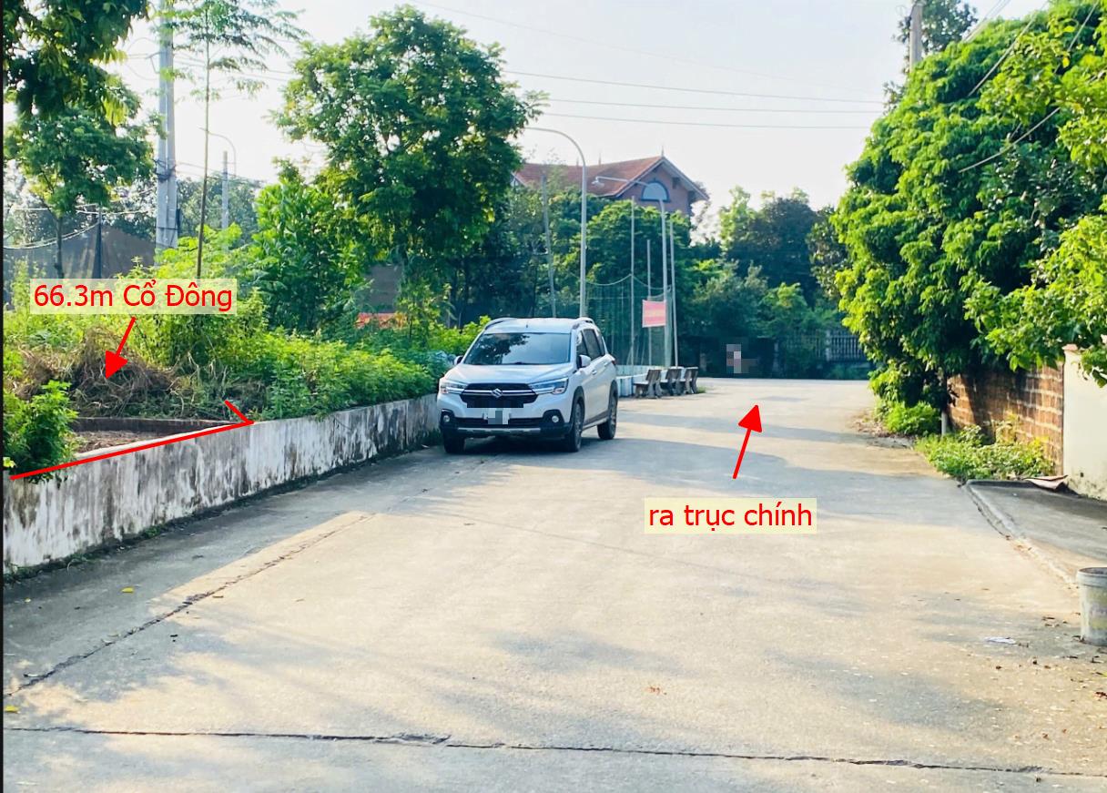 Hình ảnh Bán Lô Đất 66.3m Tại Cổ Đông Sơn Tây Bám Đường Bê Tông Ô Tô Vào Tận Đất Sát Trục Chính Kinh Doanh  Dân Cư Đông Phát Triển Giá Rẻ Đầu Tư