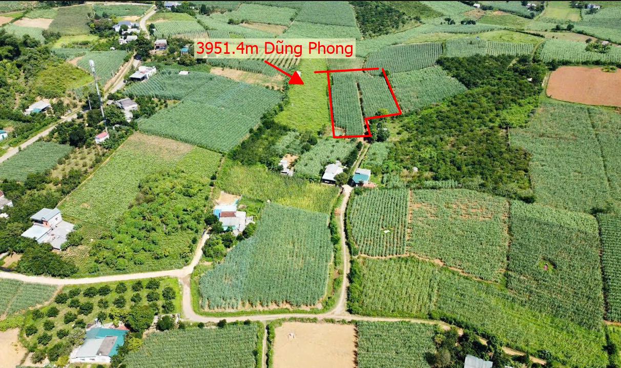 Hình ảnh Bán Lô Đất 3951.4m Tại Dũng Phong Cao Phong Bám ĐƯờng Bê Tông Ô Tô Vào Tận Đất Dân Cư Đông Phù Hợp Làm Nghỉ Dưỡng
