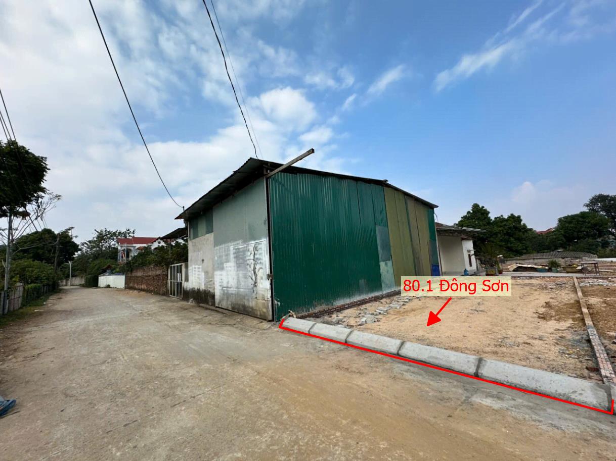 Hình ảnh Đất Phân Lô Quyết Hạ Phú Nghĩa (Đông Sơn Cũ) Ô Tô Đỗ Tận Đất Gần Trục Kinh Doanh Giá Đầu Tư