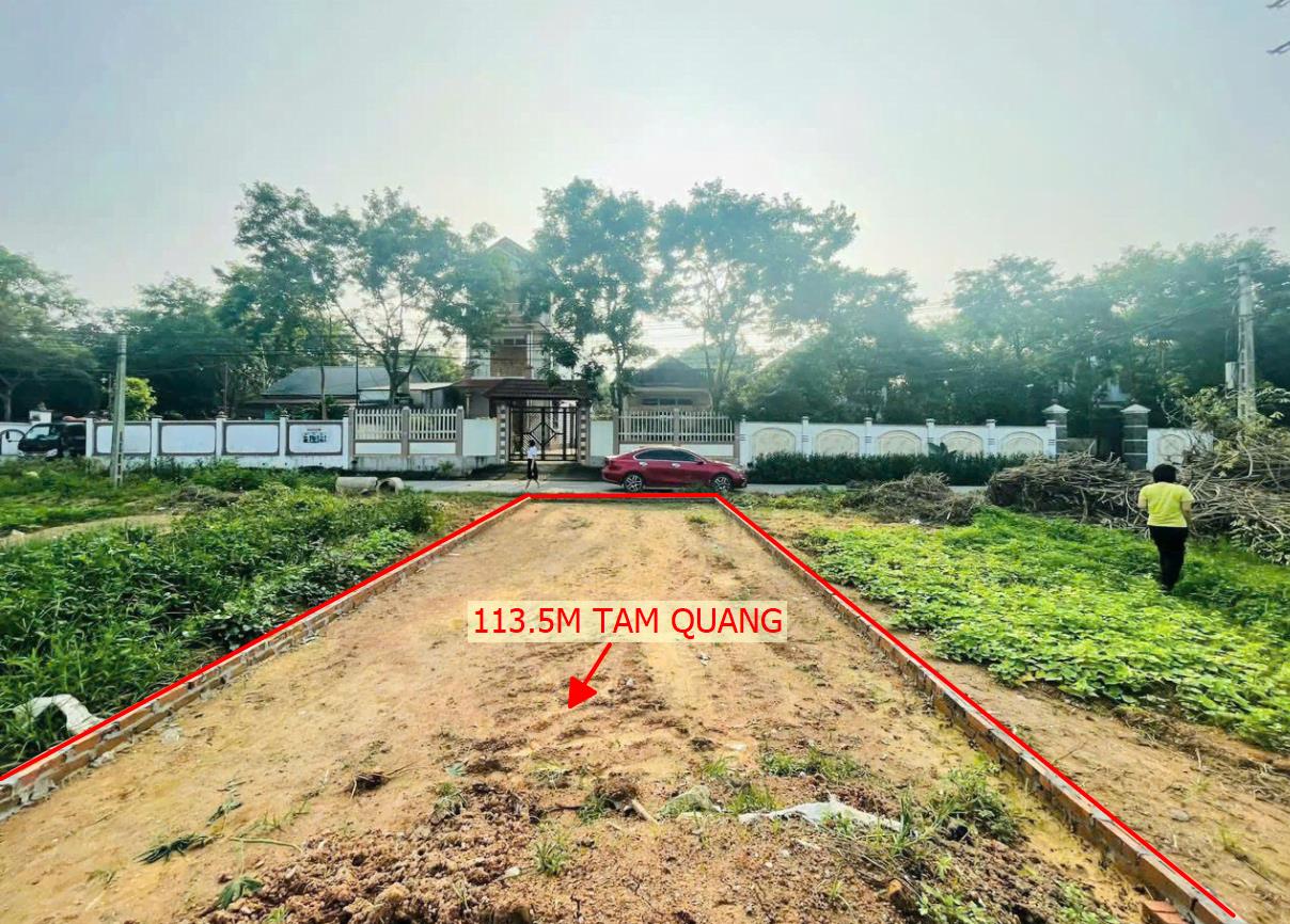 Hình ảnh Bán Lô Đất 113.5m Tại Tam Quang Tam Đào Ô Tô Vào Tận Đất Xung Quanh Đầy Đủ Tiện Ích Giá Đầu Tư