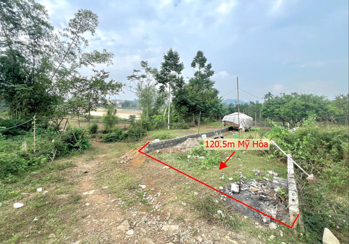 Hình ảnh Bán Lô Đây 120.5m Tại Mỹ Hòa Tân Lạc Bám Đường Bê Tông Ô Tô Vào Tận Đất Dân Cư Đông Đúc View Thoáng Mát  Giá Đầu Tư