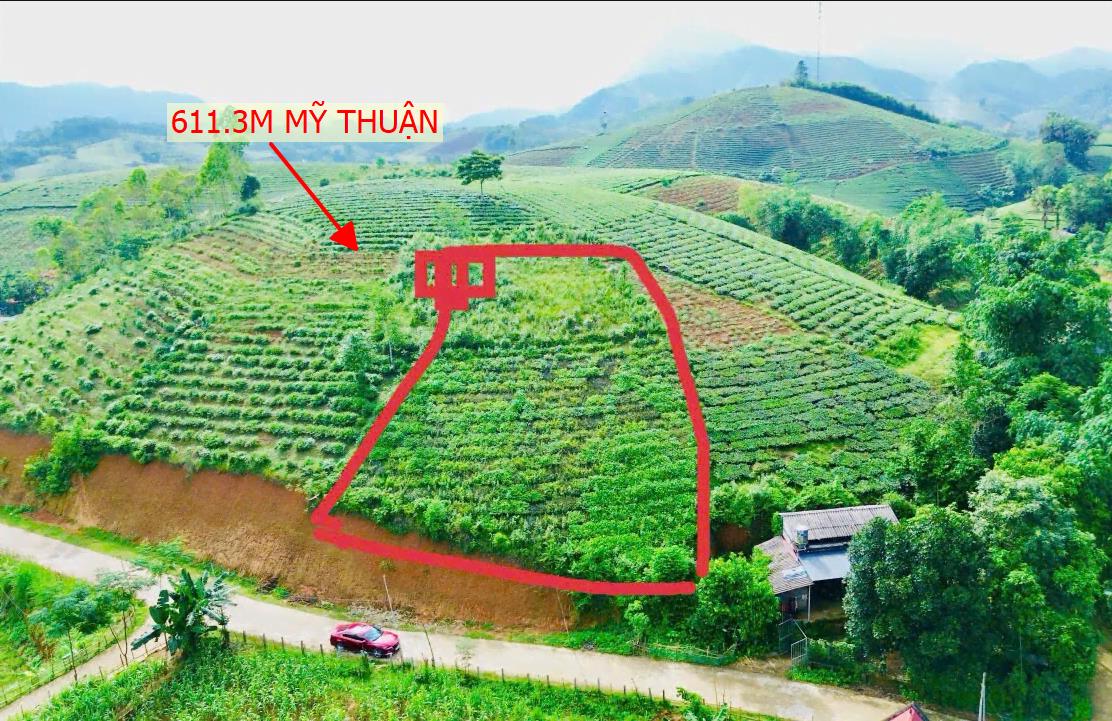 Hình ảnh Bán Lô Đất 611.3m Tại Mỹ Thuận Tân Sơn Bám Đường Bê Tông Ô Tô Vào Tận Đất Cách Ql32 500m Giá Đầu Tư