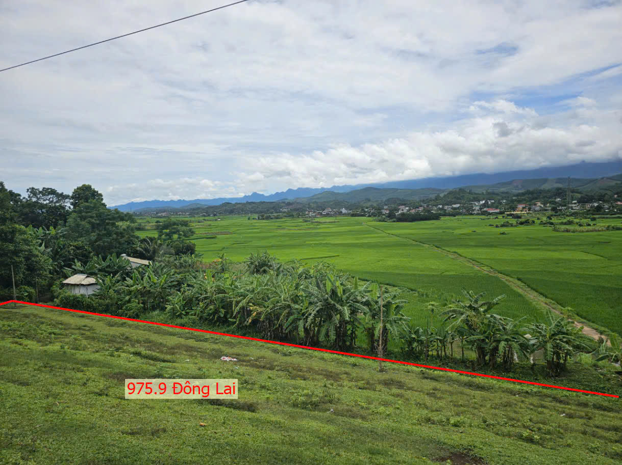 Hình ảnh Bán Đất Đông Lai Ngay Trung Tâm Xã Đông Lai Ô Tô Đỗ Tận Đất Gần QL21B Giá Chỉ Vài Trăm Triệu 