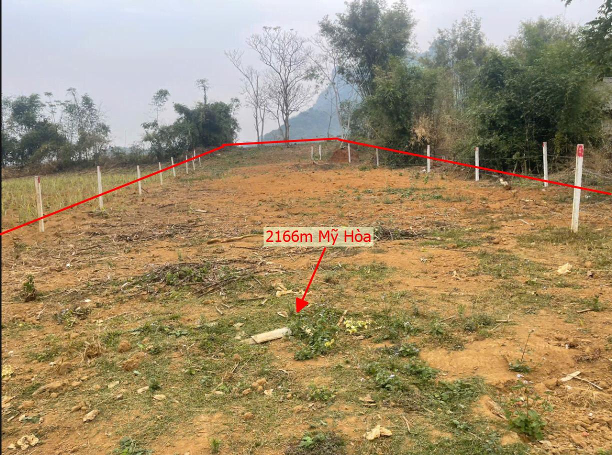 Hình ảnh Bán Lô Đất 2166m Tại Mỹ Hòa Tân Lạc Bám Đường bê Tông Ô Tô Vào Tận Đất  View Cánh Đồng Thoáng Mát Giá Đầu Tư