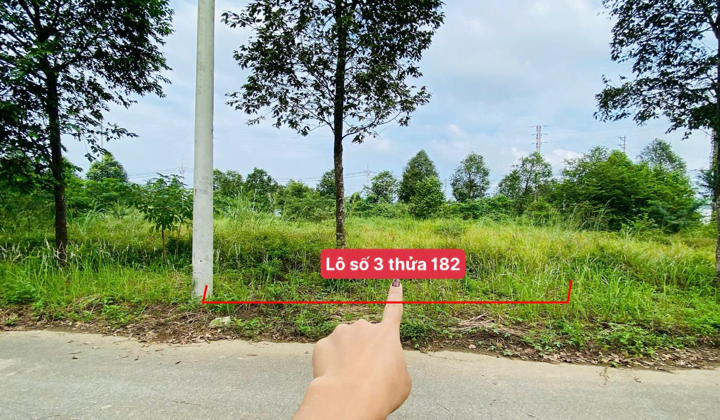 Hình ảnh Bán Lô Đất 100m Tại Cổ Đông Sơn Tây Bám Đường Bê Tông Ô Tô Vào Tận Đất Dân Cư Đông Đúc Thân Thiện  Cách Ql21A 3km Đầu Tư Tiềm Năng Sinh Lời