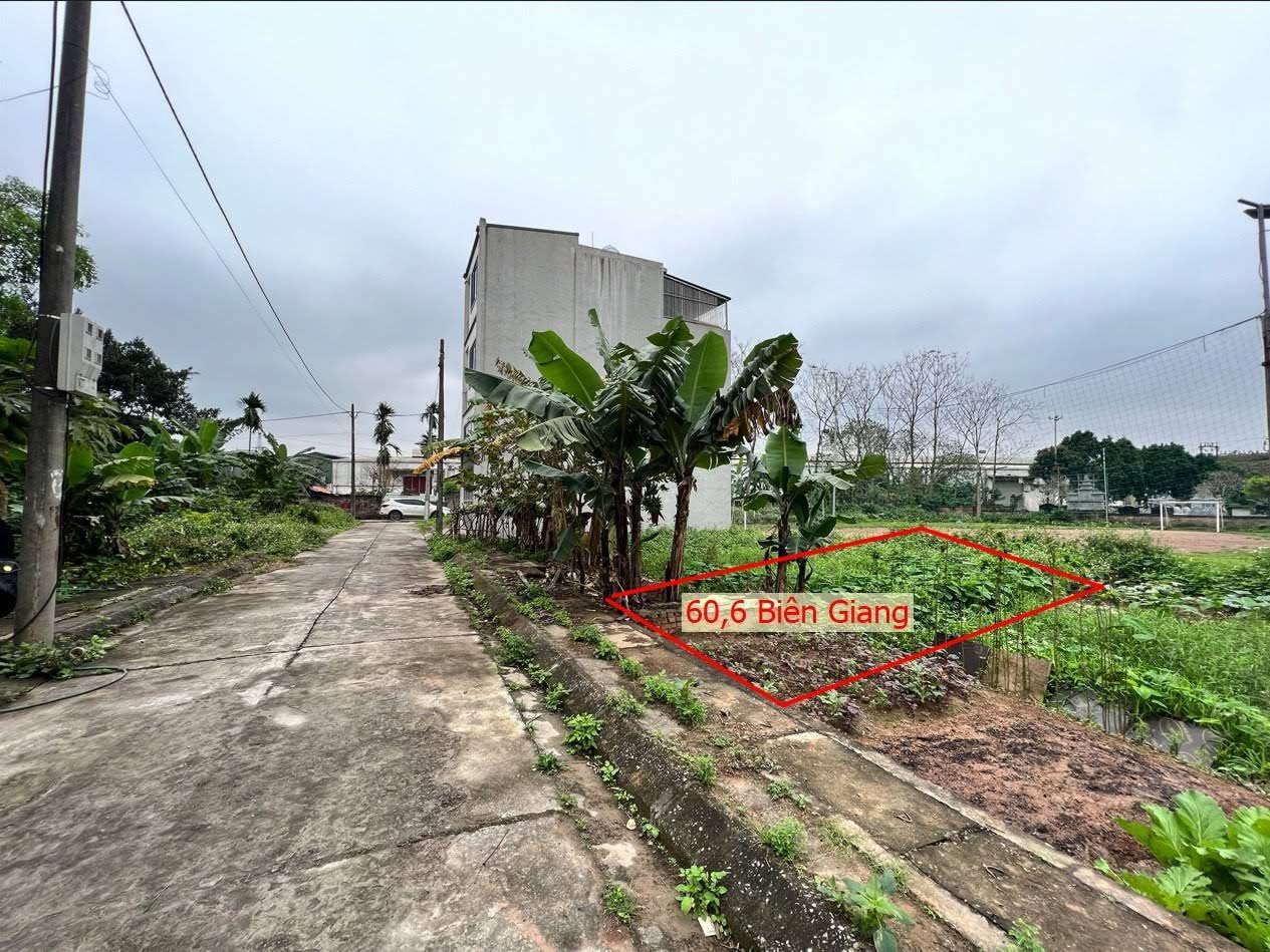 Hình ảnh Đất Đấu Giá Phúc Tiến Biên Giang Đường Thông Ô Tô Gần QL6A Đang Triển Khai Mở Rộng