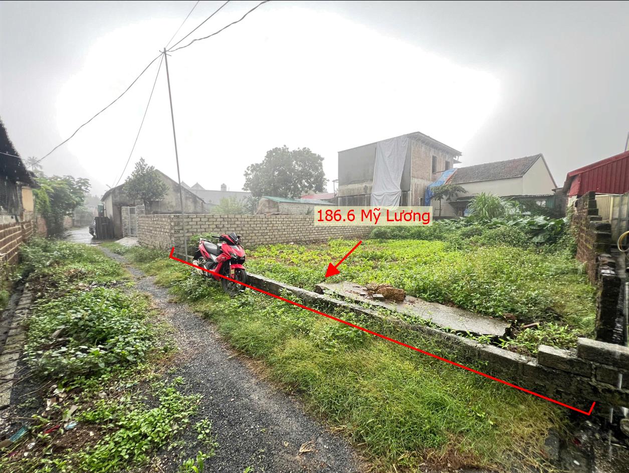 Hình ảnh Bán Thửa Đất 186.6m Tại Mỹ Lương Ô Tô Đỗ Tận Đất Sát Trục Chính Kinh Doanh Liên Xã 