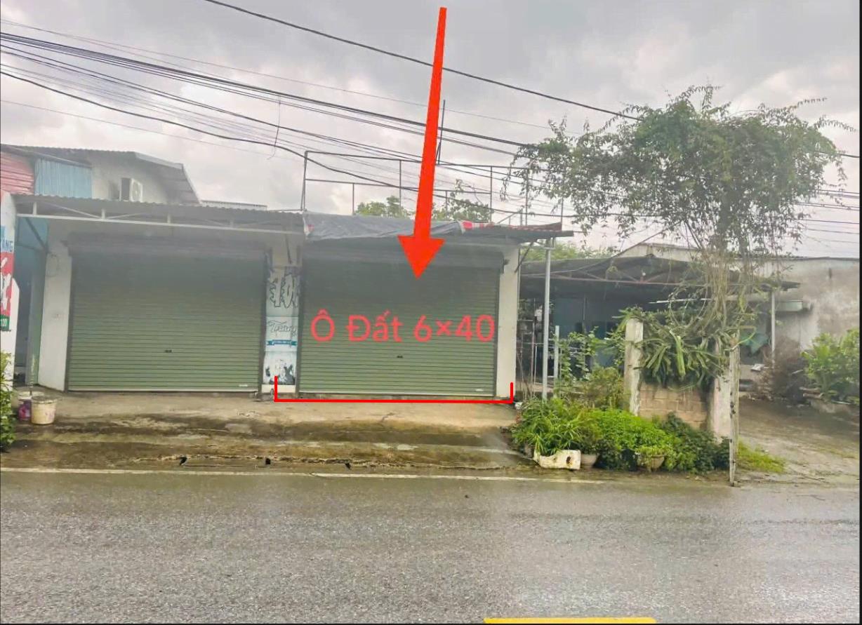 Hình ảnh Bán Lô Đất 242.3m Tại Ngọc Lập Yên Lập Bám Đường Bê Tông Ô Tô Vào Tận Đất Dân Cư Đông Đúc Sẵn Nhà Chỉ Việc Về Ở Phù Hợp Kinh Doanh Giá Đầu Tư