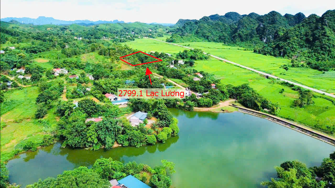 Hình ảnh Bán Đất Lạc Lương Sát Hồ Tự Nhiên Cực Đẹp Ngay Trung Tâm Xã Lạc Lương 