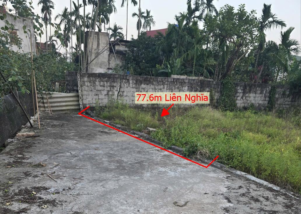 Hình ảnh Bán Lô Đất 77.6m Tại Liên Nghĩa Văn Giang Bám Đường Bê Tông Ô Tô Vào Tận Đất Dân Cư Đông Sổ Đỏ Pháp Lý Rõ Ràng 
