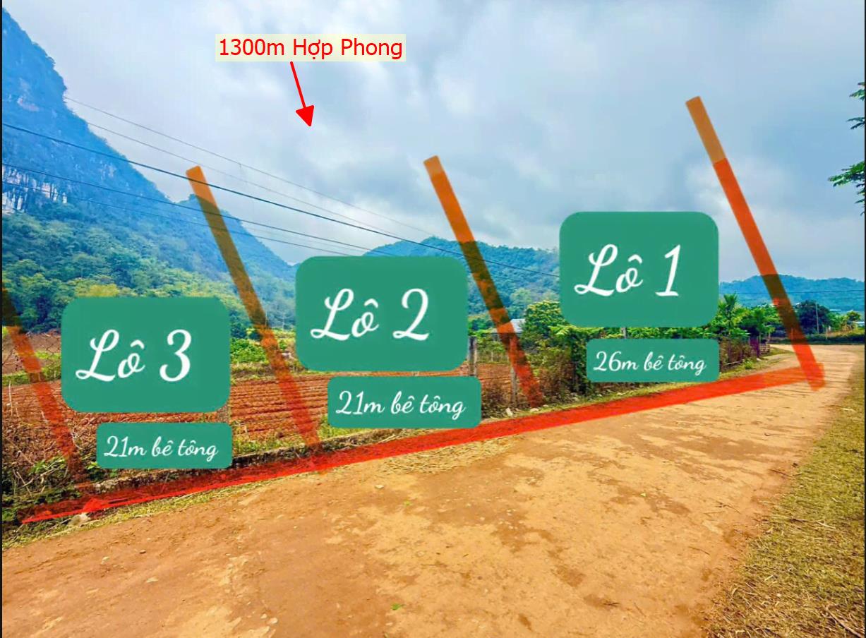 Hình ảnh Bán Lô Đất 1300m Tại Hợp Phong Cao Phong Bám Đường Bê Tông Ô Tô Vào Tận Đất Dân Cư Đông Đúc View Thoáng Mát Giá Đầu Tư