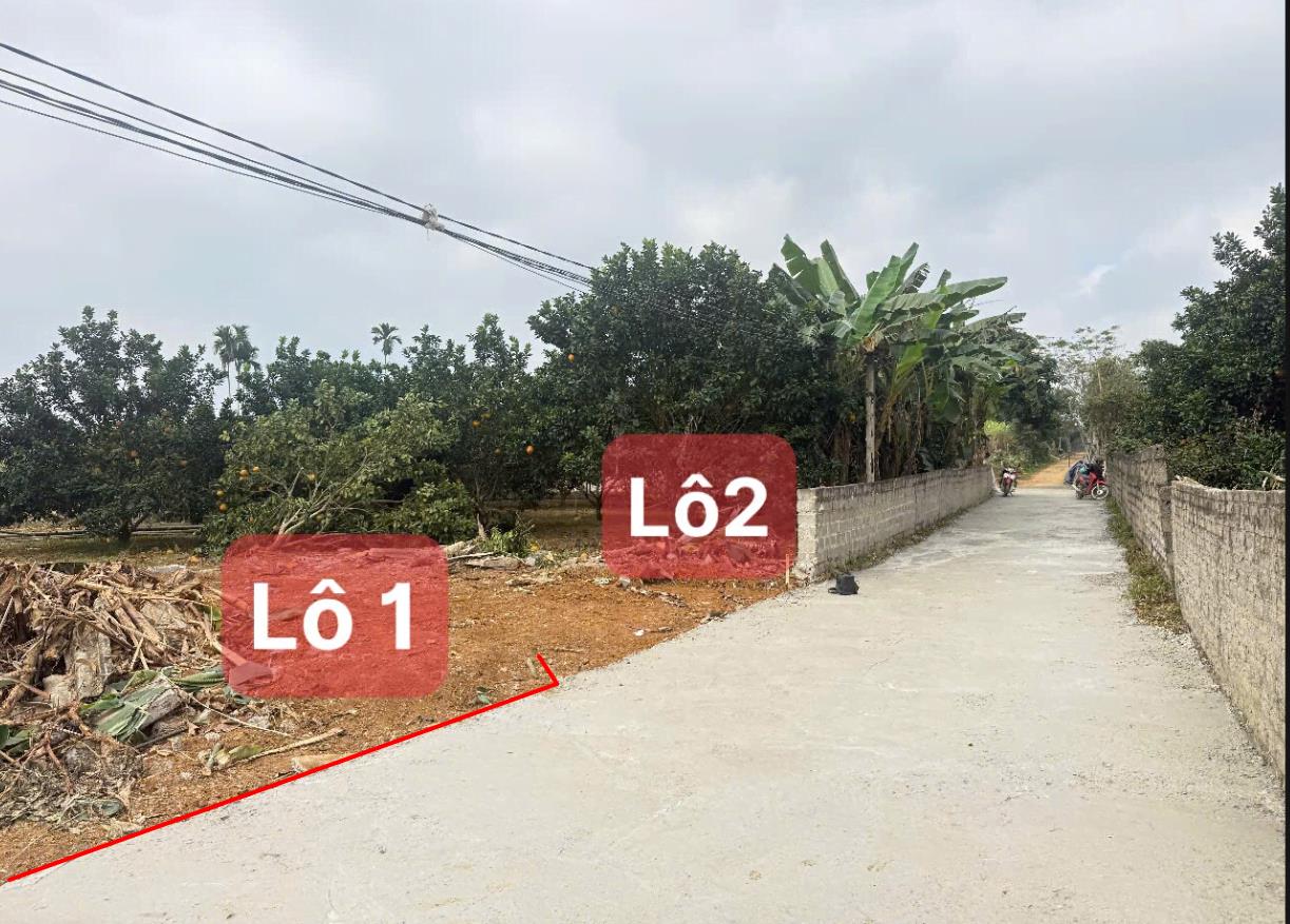 Hình ảnh Bán Đất Phân Lô Ô Tô Vào Tận Đất Dân Cư Đông Đúc Thân Thiện Gần Chợ Trường Học Ủy Ban Giá Rẻ Đầu 